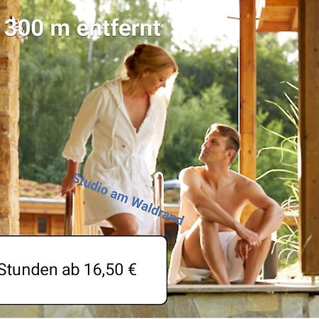 Studio Am Waldrand Wadgassen Zewnętrze zdjęcie